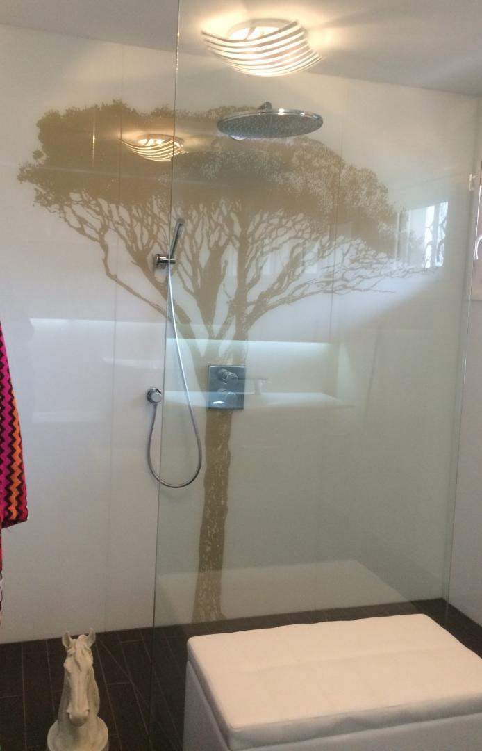 Clôture de douche Épinal